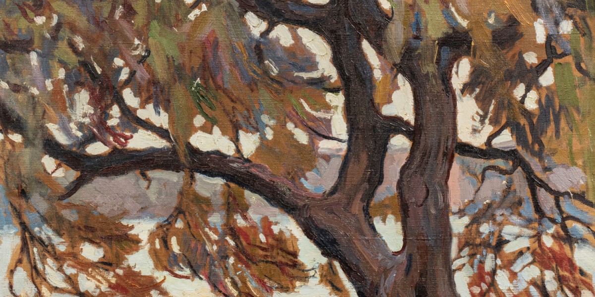 Le tamaris à Ciboure